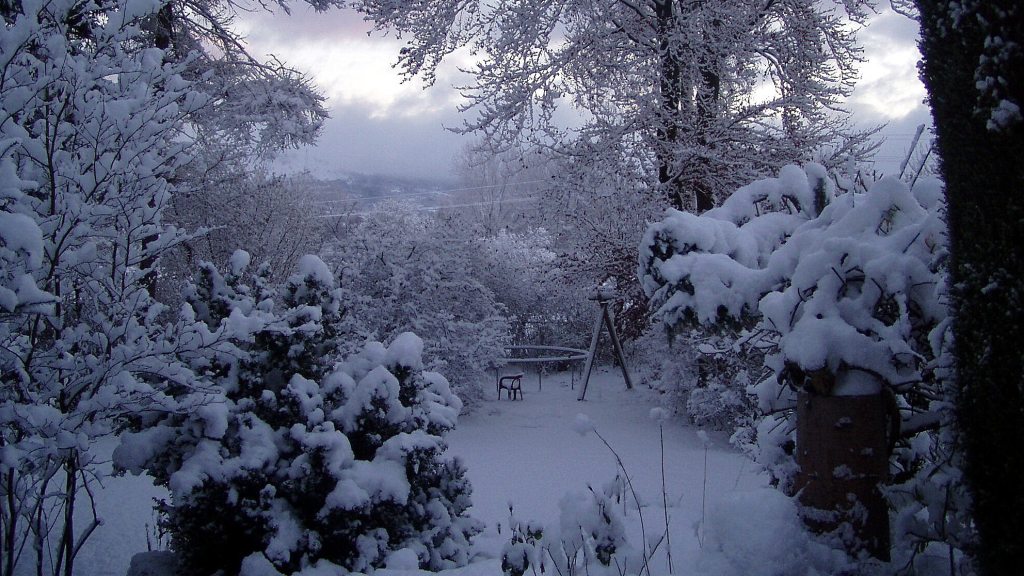 Der Blick von der Terrasse meines Elternhauses in den hinteren Teil des Gartens.