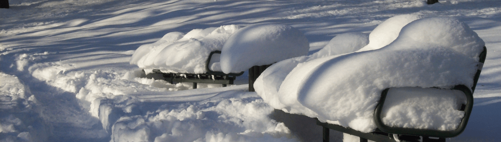 Ein spannendes und friedliches&nbsp;2015!