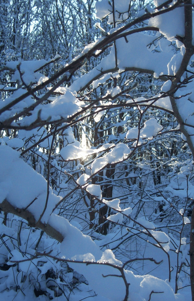 Winter Westpark 3