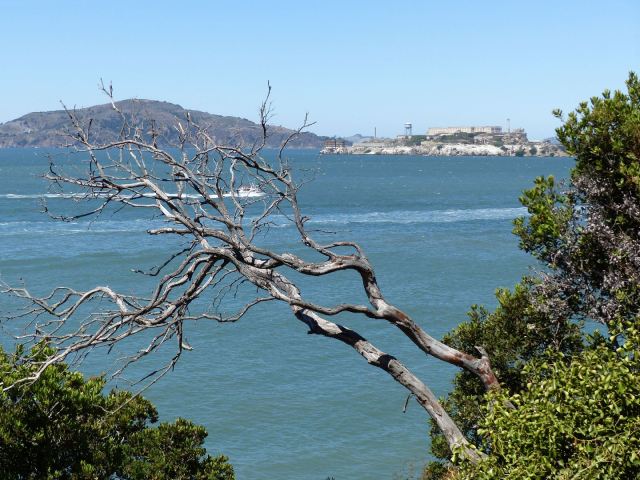 Alcatraz_50