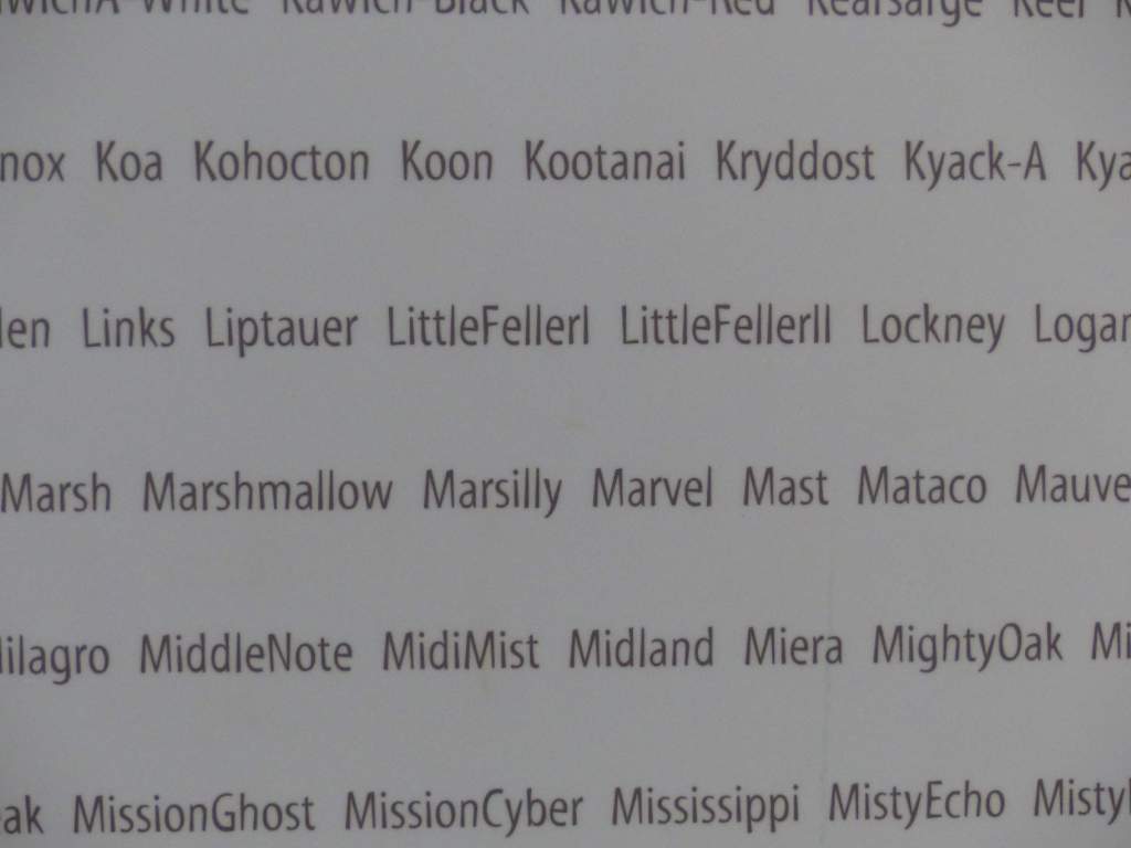 Little Feller II  war die Bombe mit dem ersten Davy Crockett Sprengkopf.
