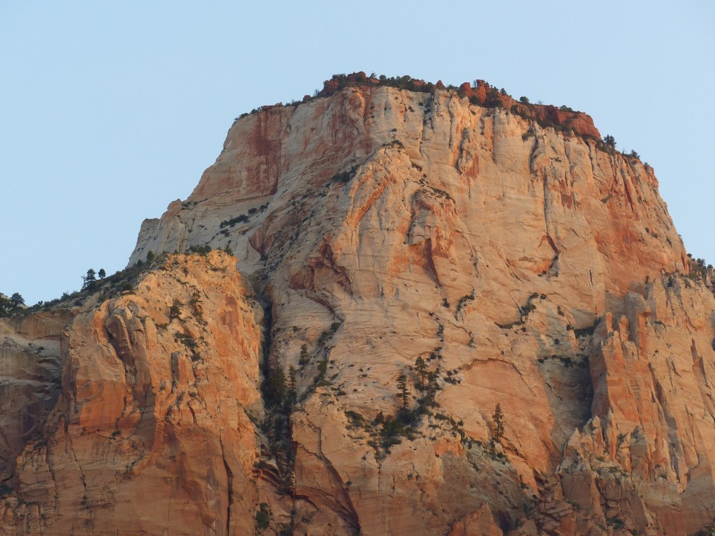 vermutl. The Sentinel