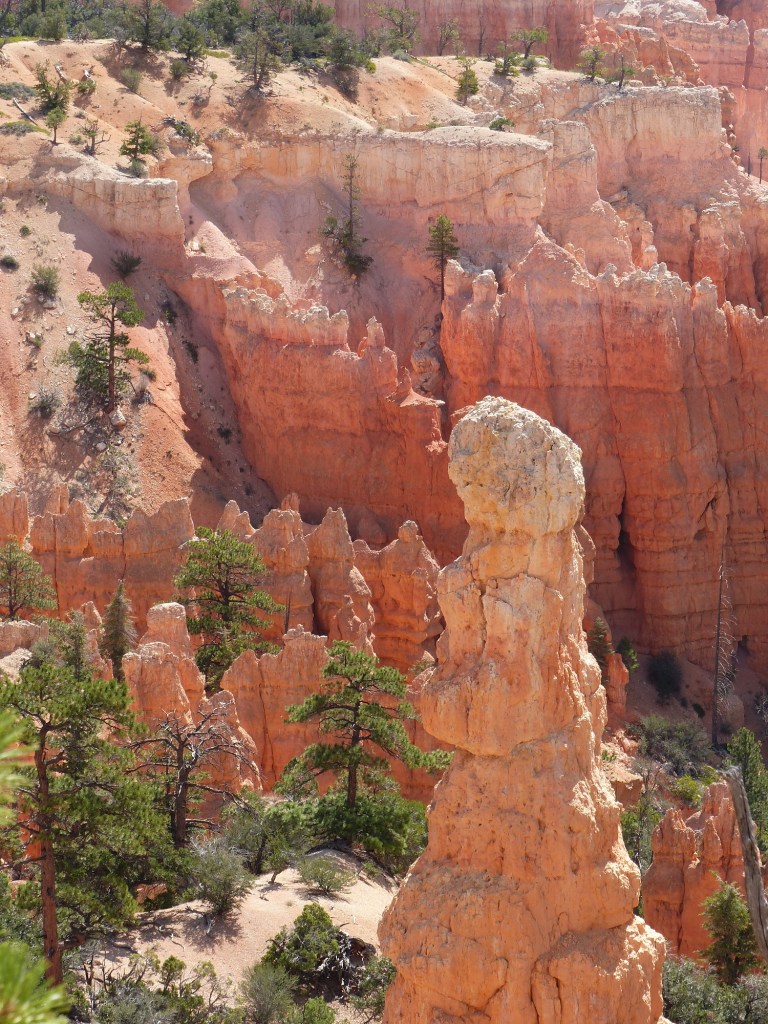 Bryce Canyon_standalones5