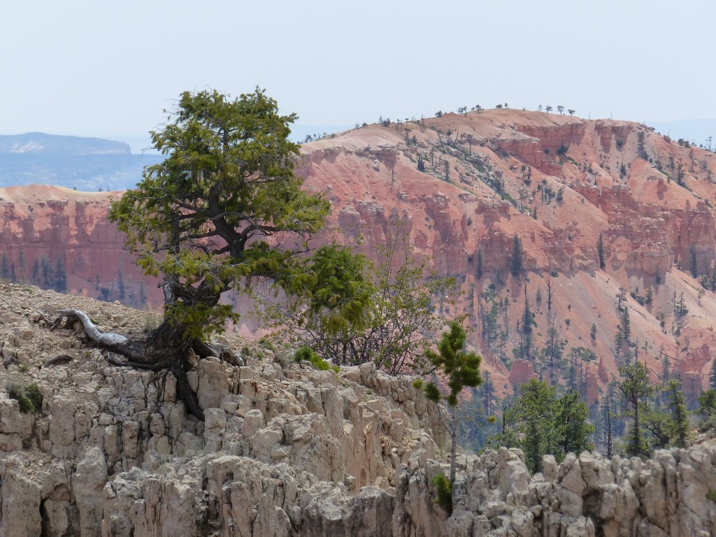 Bryce Canyon_standalones6