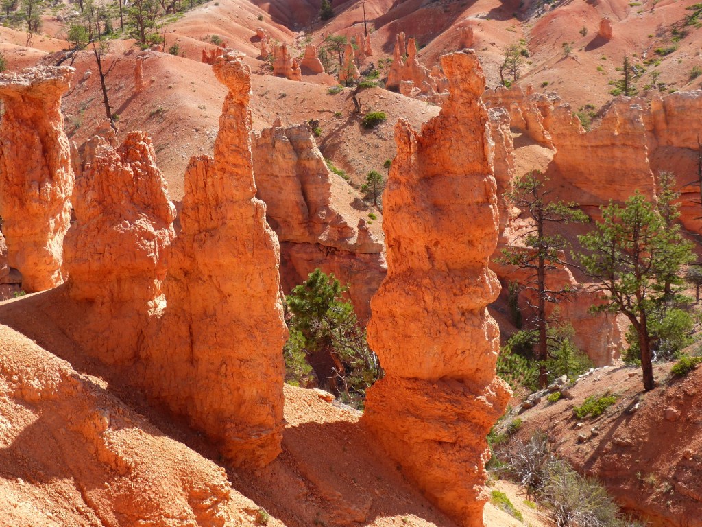 Bryce Canyon_Fairyland Trail14