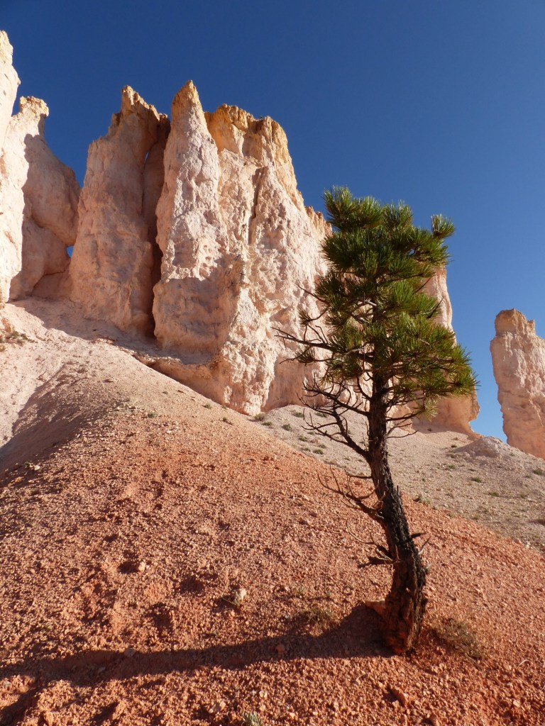 Bryce Canyon_Fairyland Trail2