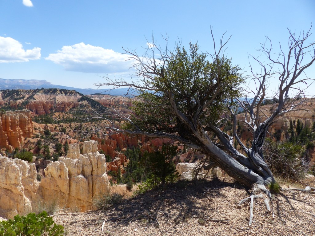Bryce Canyon_Fairyland Trail21