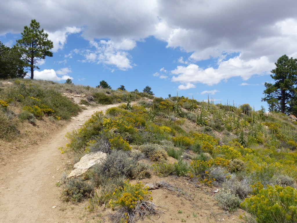 Bryce Canyon_Fairyland Trail28