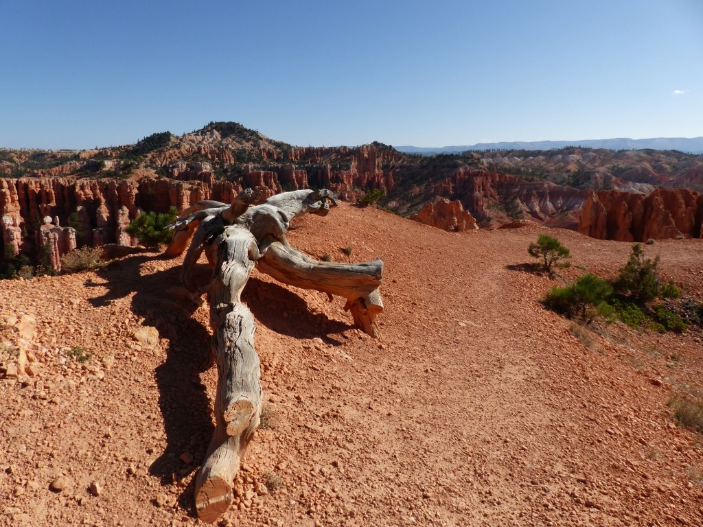 Bryce Canyon_Fairyland Trail7