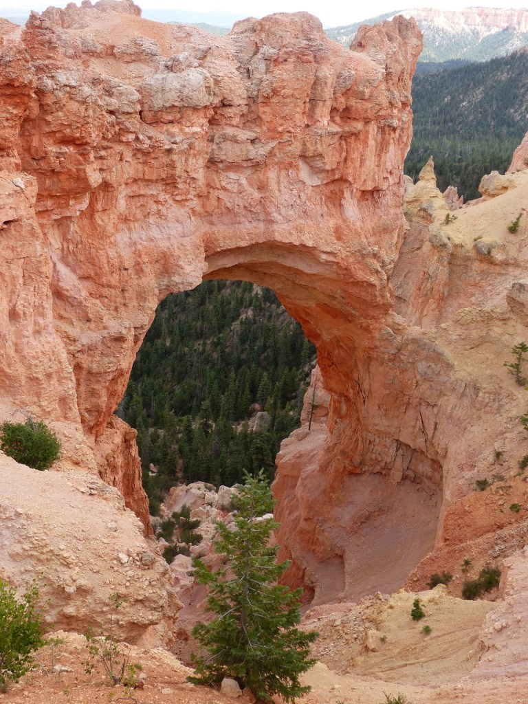 Bryce Canyon_Natural Bridge1