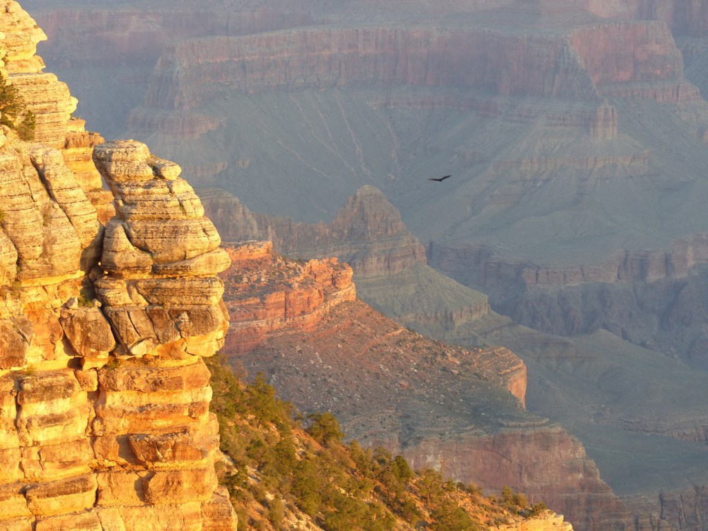 Grand Canyon sunrise11