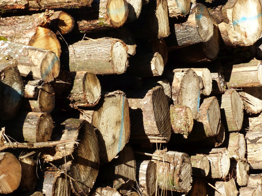 Mit dem Fotoapparat unterwegs #5: Und das soll Januar&nbsp;sein?