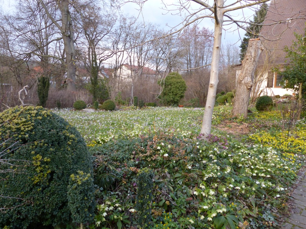 rund_ums_Elternhaus_1