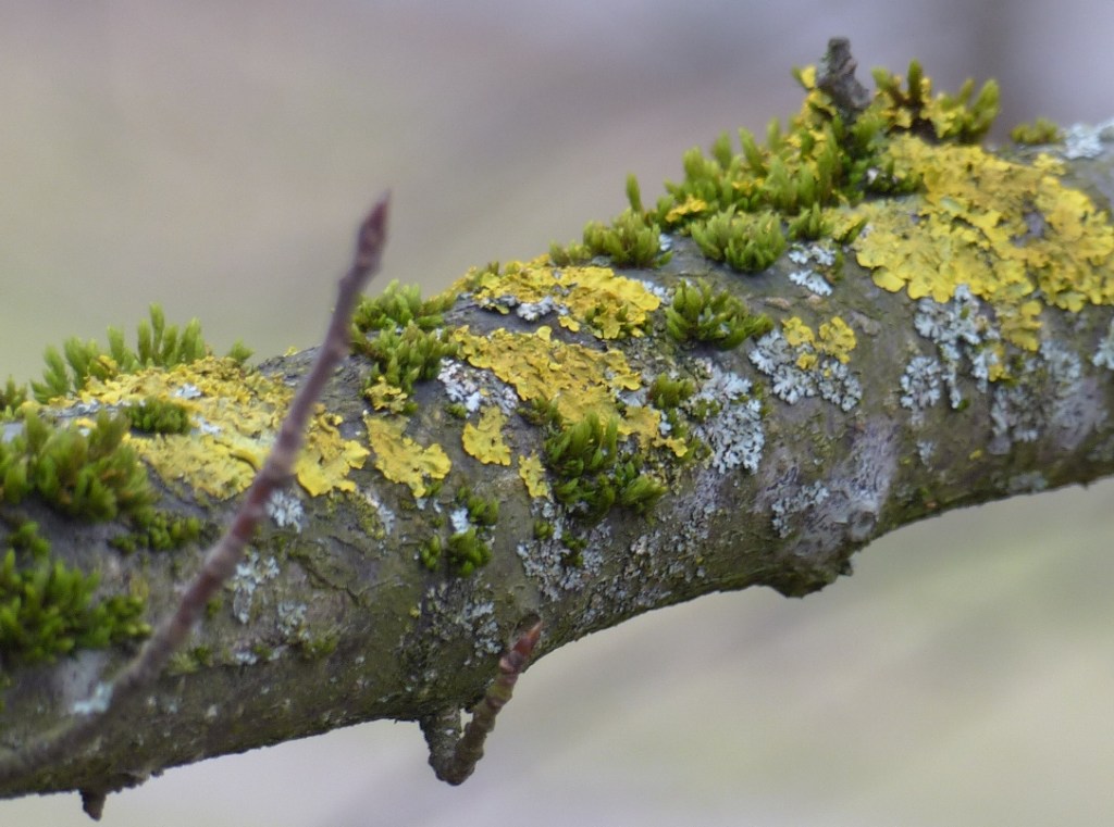 Mit dem Fotoapparat unterwegs #9: Von wegen grau in&nbsp;grau!