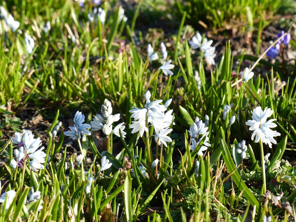 Mit dem Fotoapparat unterwegs #14: Die Natur erwacht – Frohe&nbsp;Ostern!