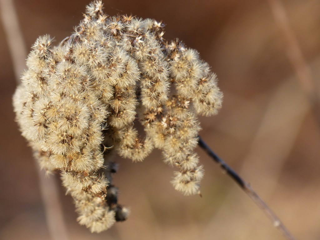 Wald_Struktur+Textur_7