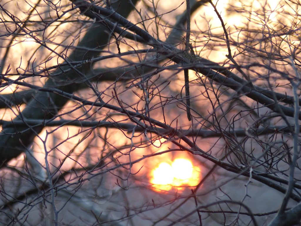 wenn_es_dunkel_wird_1