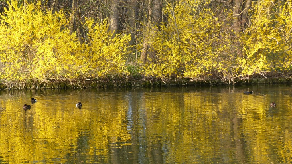 München & More #5: Nymphenburger&nbsp;Schlosspark