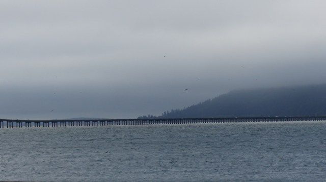 astoria_am-columbia-river_19