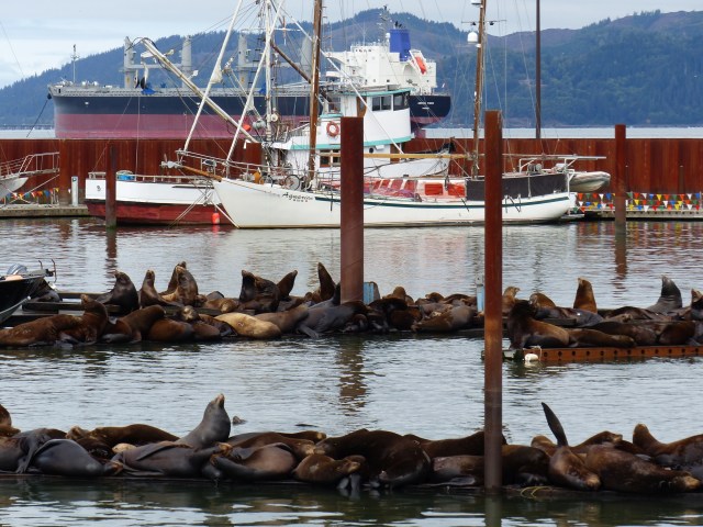 astoria_am-columbia-river_37