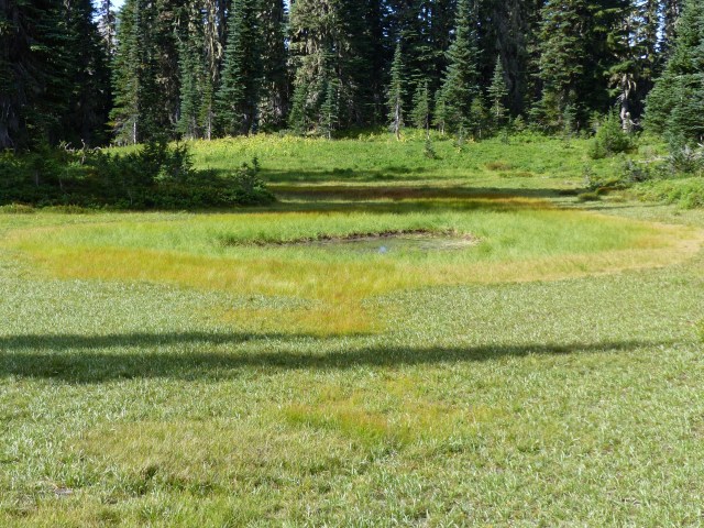 mt-rainier_day2_01_16