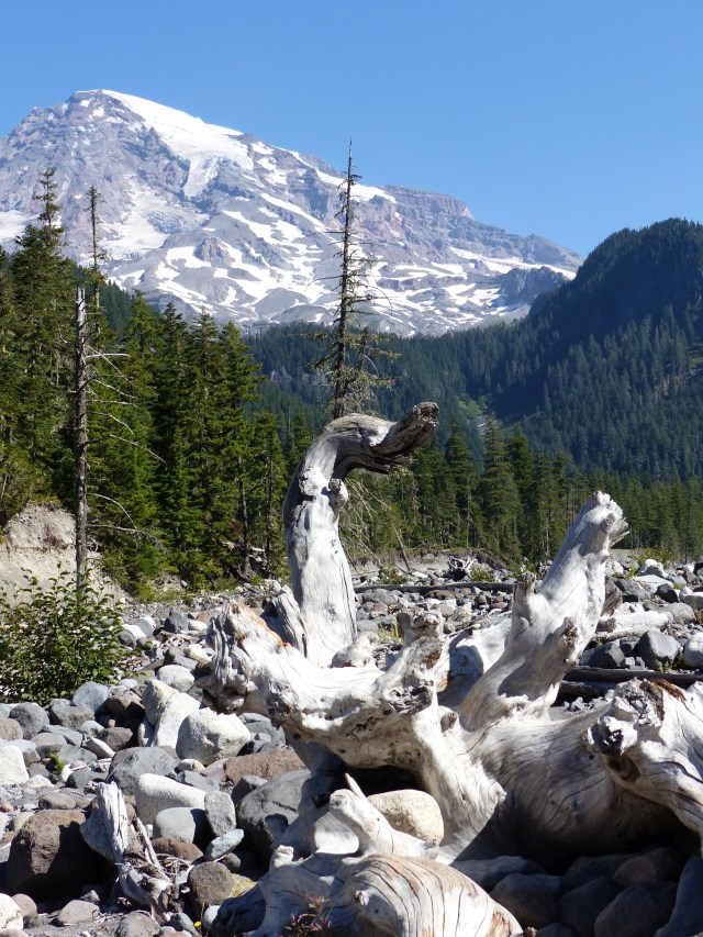 mt-rainier_day3_15