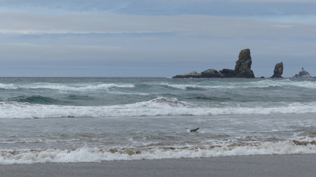 oregon-coast__crescent-beach_36