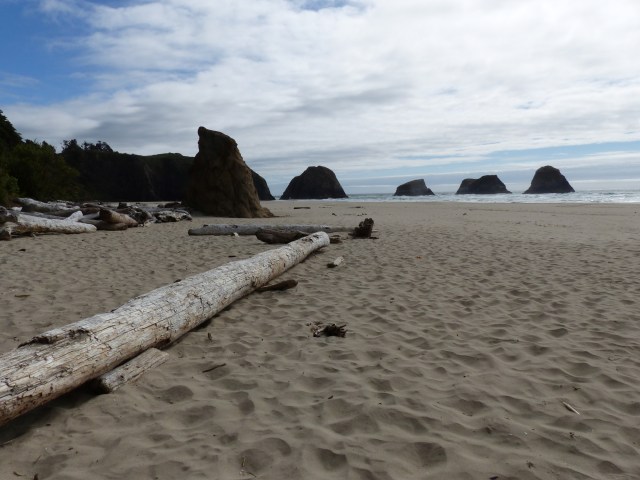 oregon-coast__crescent-beach_51
