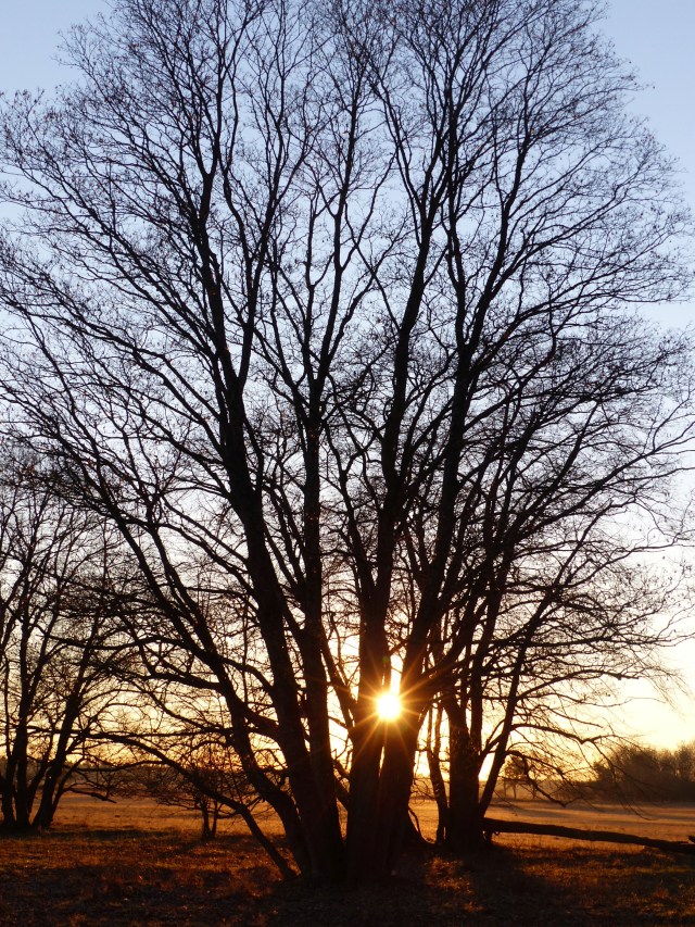 licht-und-schatten_dez16_16