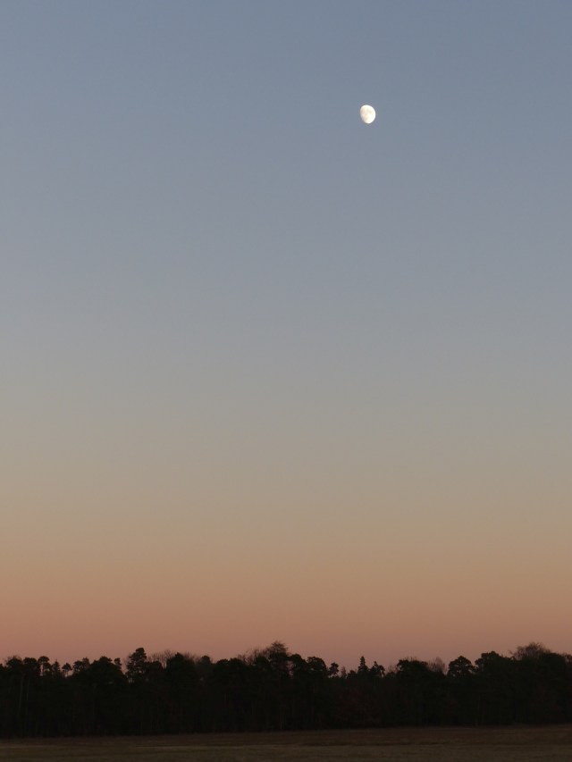 licht-und-schatten_dez16_19