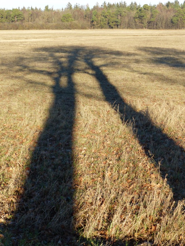 licht-und-schatten_dez16_2