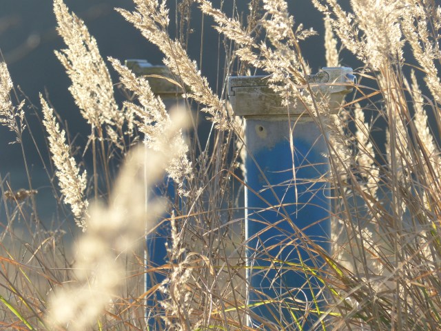 licht-und-schatten_dez16_5