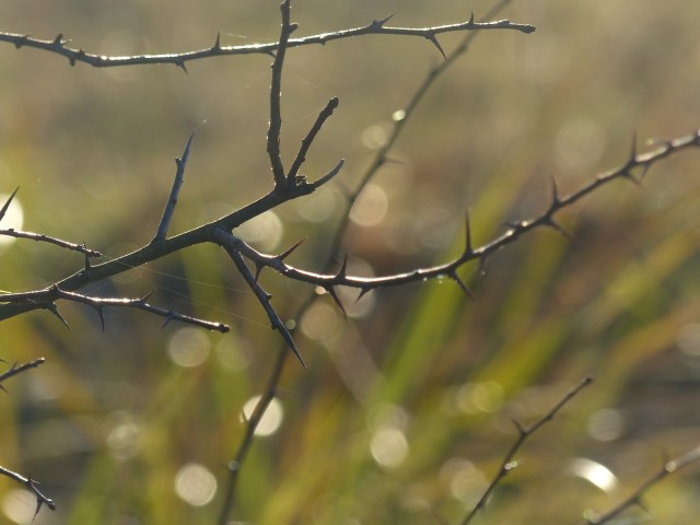 licht-und-schatten_dez16_6