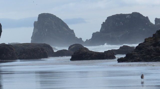 oregon-coast__indian-beach_18