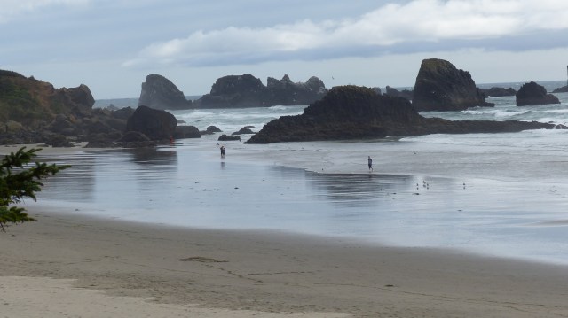 oregon-coast__indian-beach_5