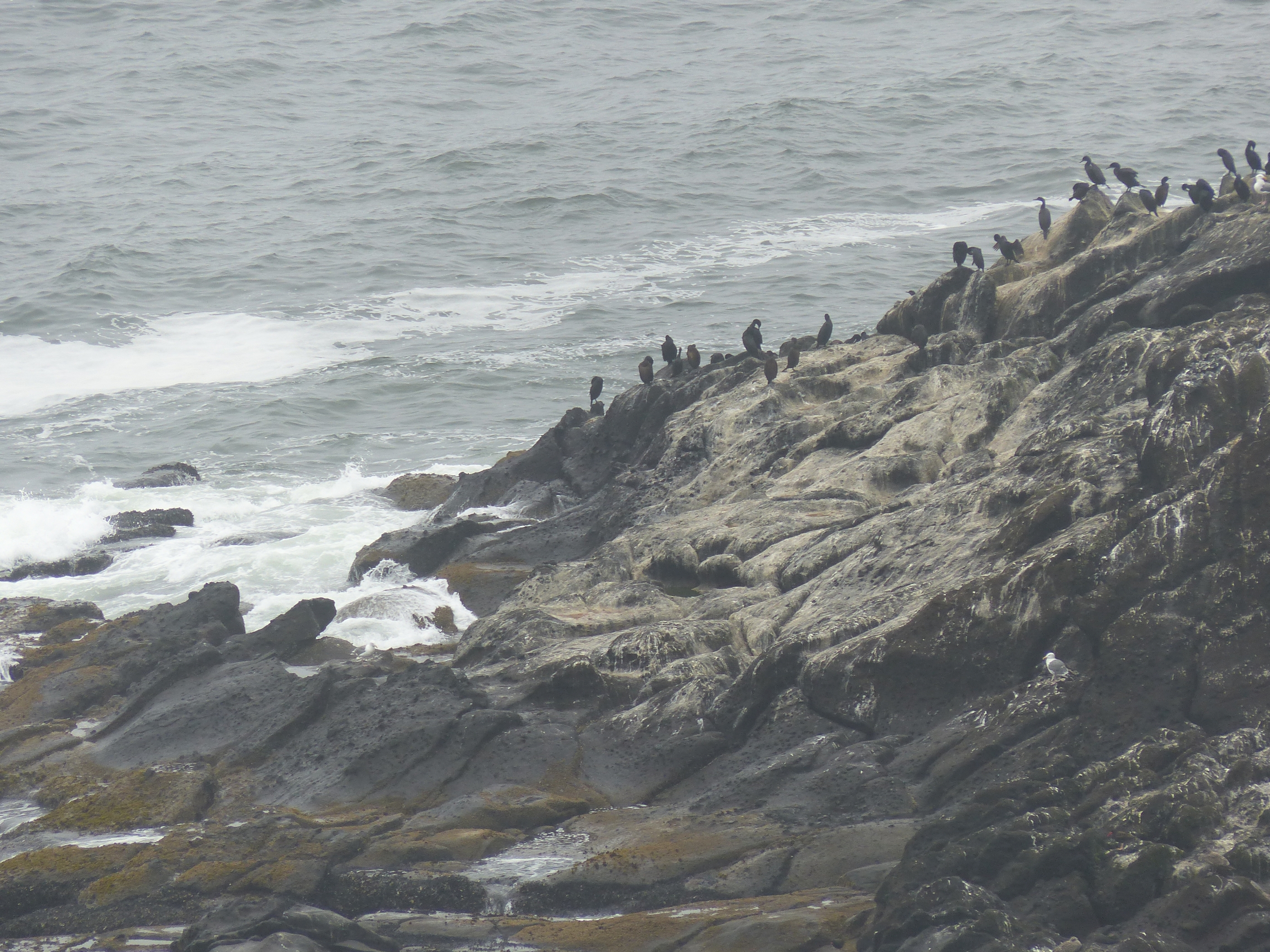 oregon-coast_viewpoints_36