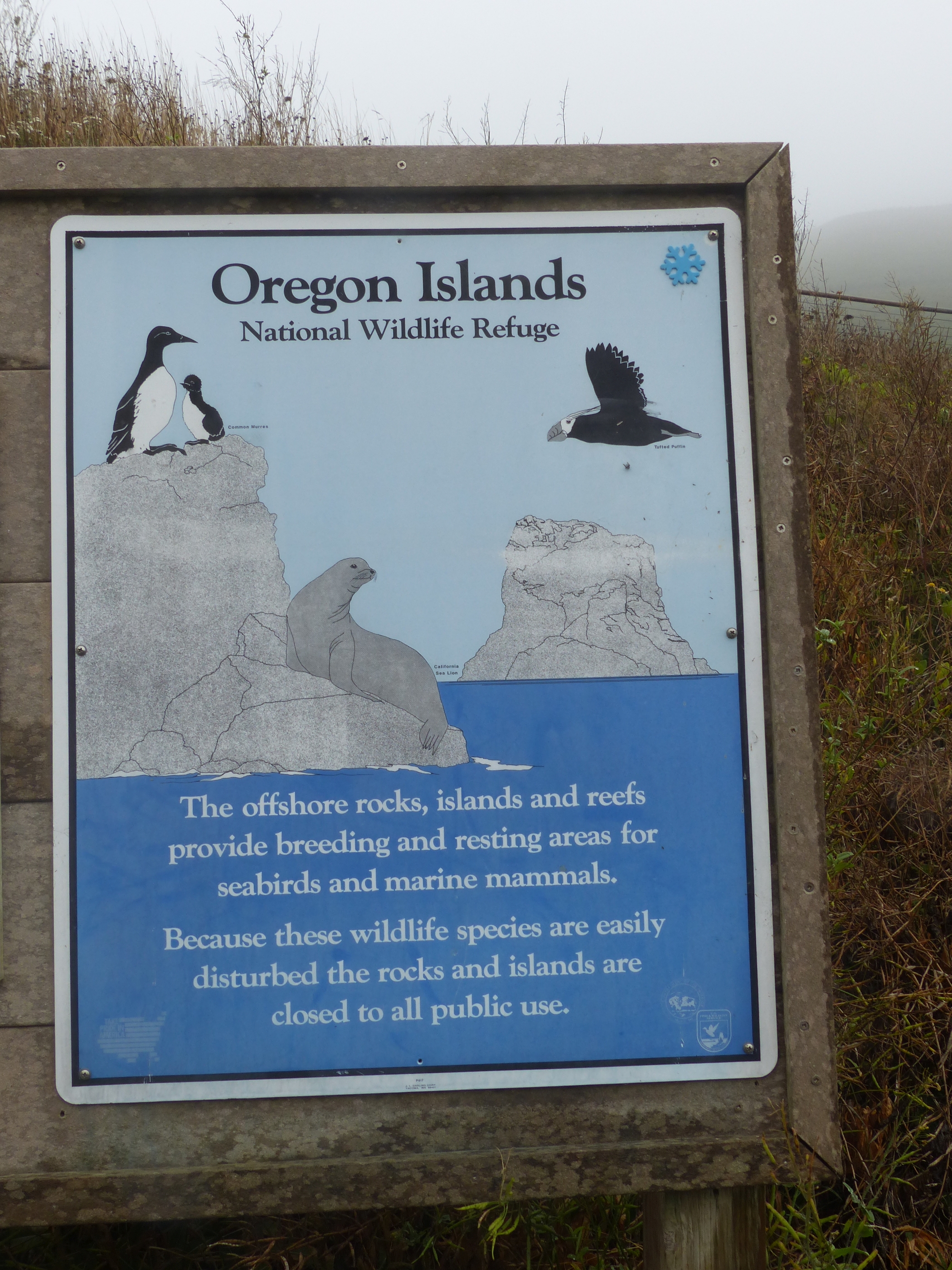 oregon-coast_viewpoints_42