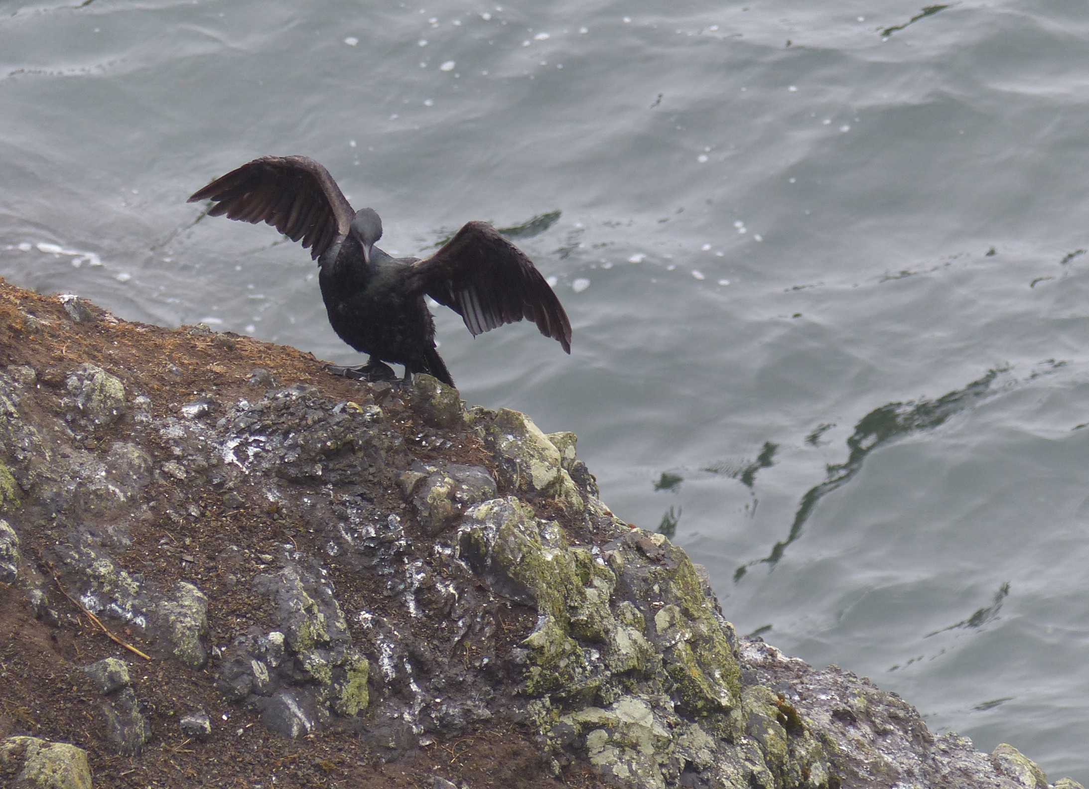 oregon-coast_viewpoints_52_b