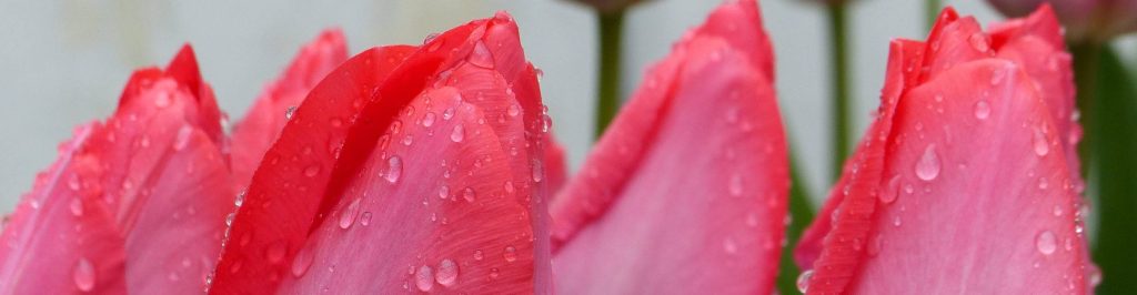 Mit dem Fotoapparat unterwegs #26: Verregnete&nbsp;Ostern