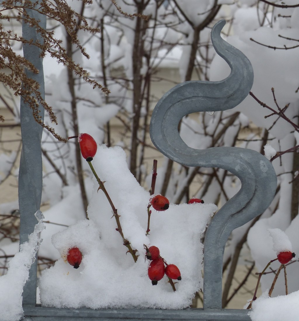 Fotografie: 50 Shades of Bunt&nbsp;#31