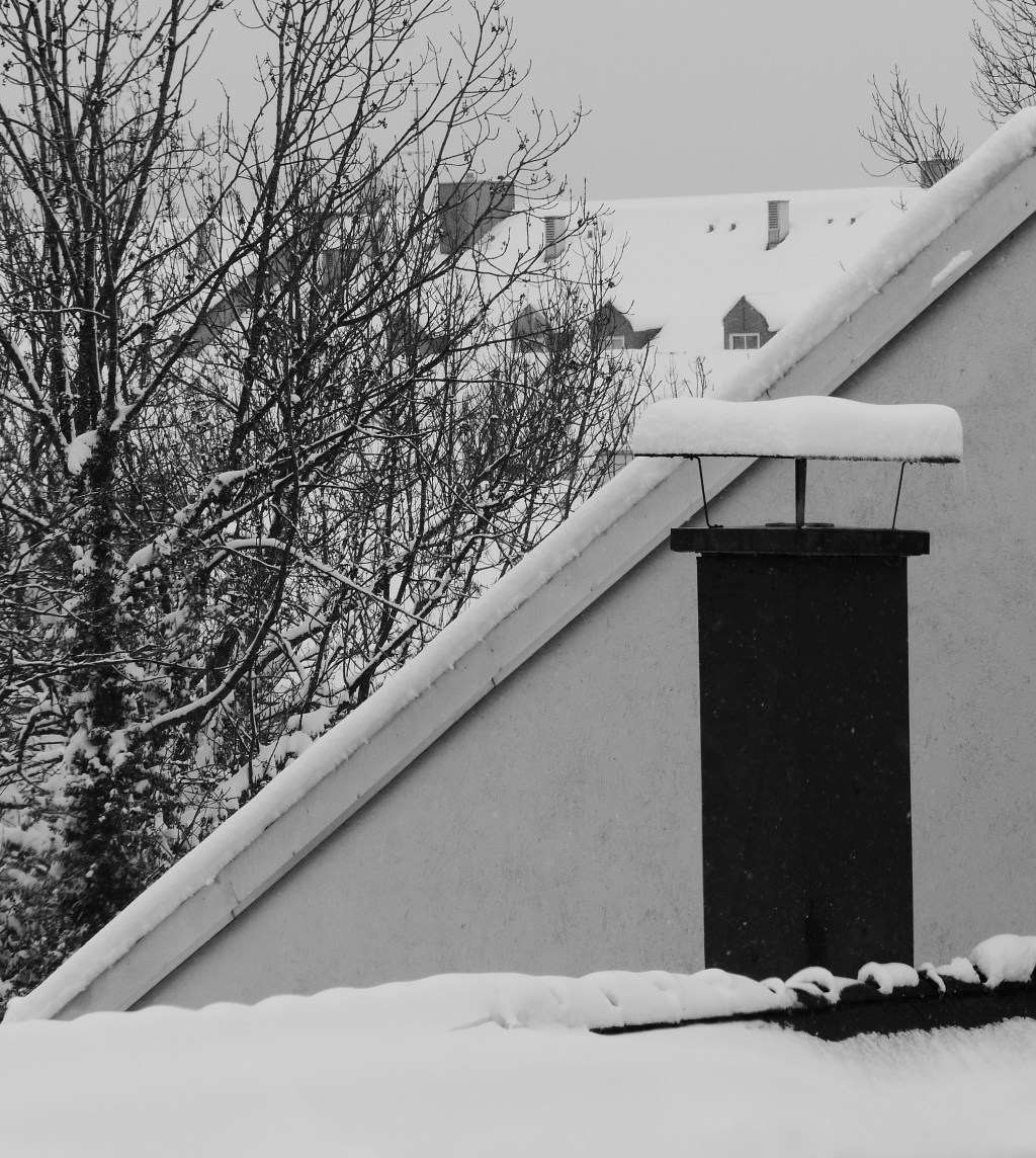 Fotografie: Black & White&nbsp;#19