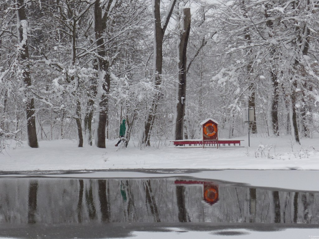 Frohe Weihnachten: 50 Shades of Bunt&nbsp;#48