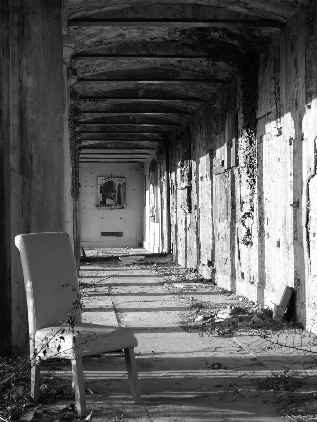 Fotografie: Black & White&nbsp;#20