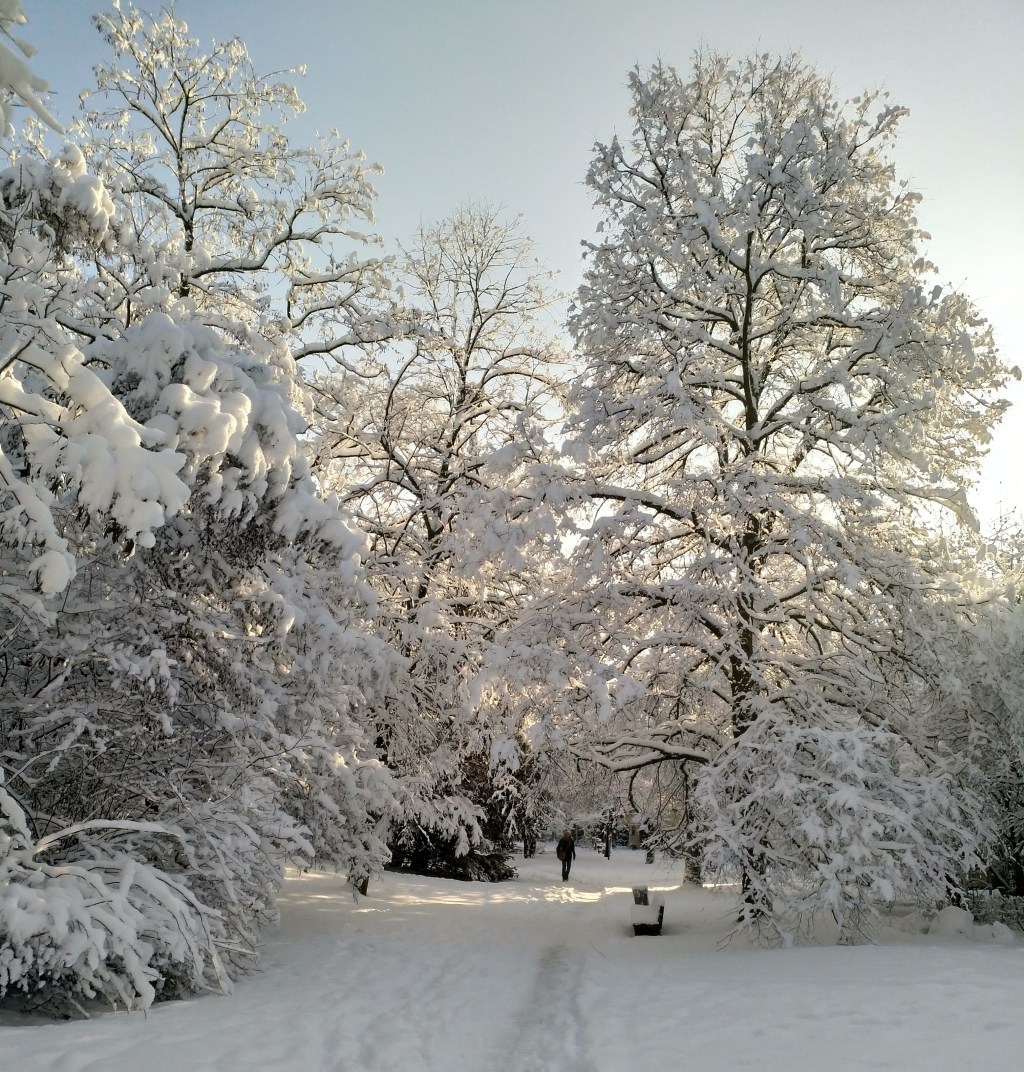 Mit dem Fotoapparat unterwegs #38: Winter Wonderland&nbsp;(reloaded)