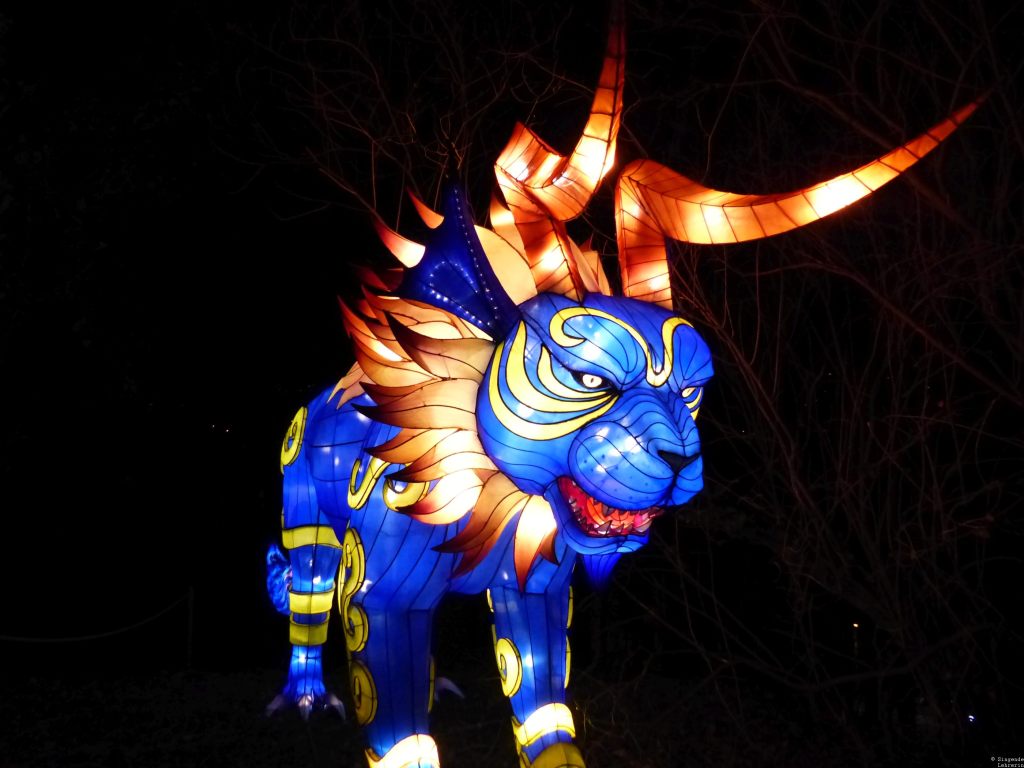 Fotografie: 50 Shades of Bunt #35 (Sonderausgabe Magische Lichterwelten im Bergzoo&nbsp;Halle)