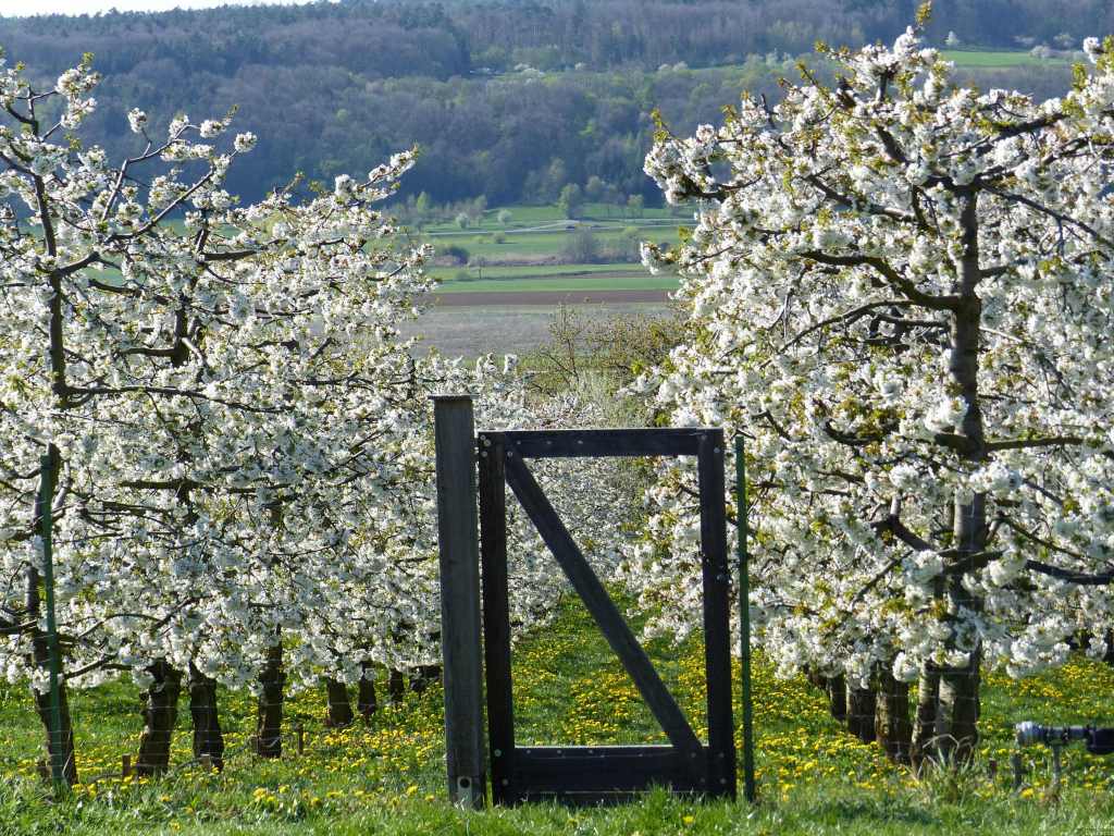Mit dem Fotoapparat unterwegs #40: Das Walberla Ostern&nbsp;2019