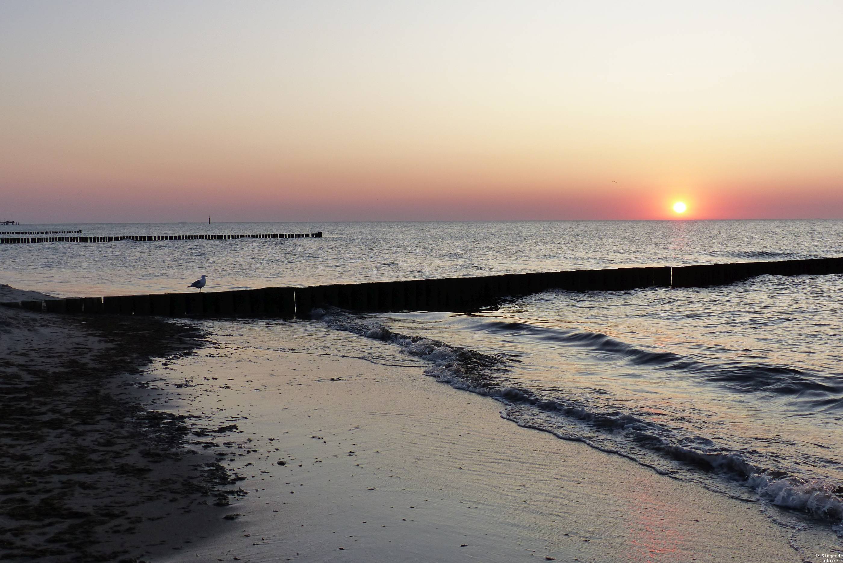 Best of Ostsee_Graal Müritz_sunset_9