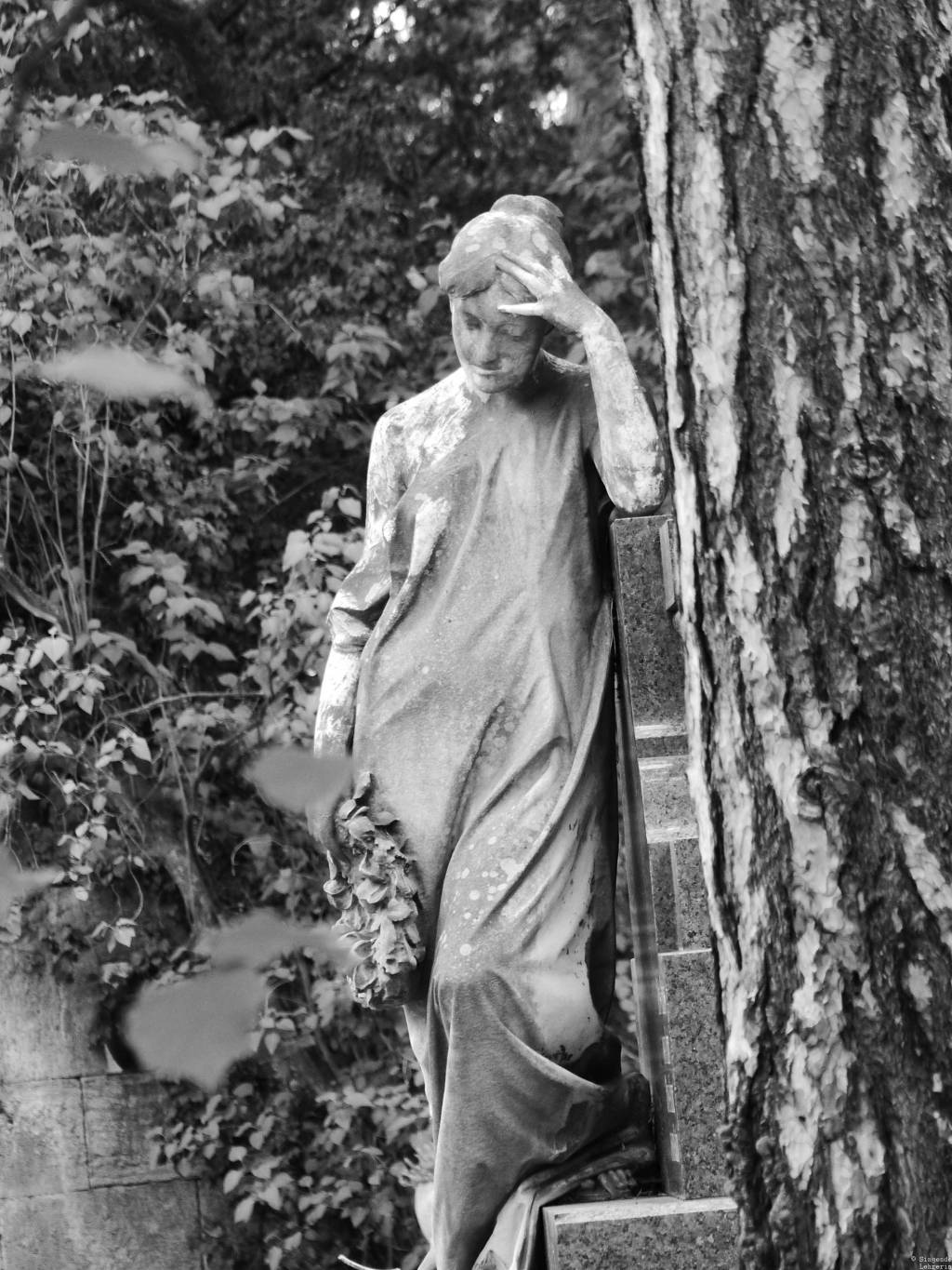 Fotografie: Black & White&nbsp;#27