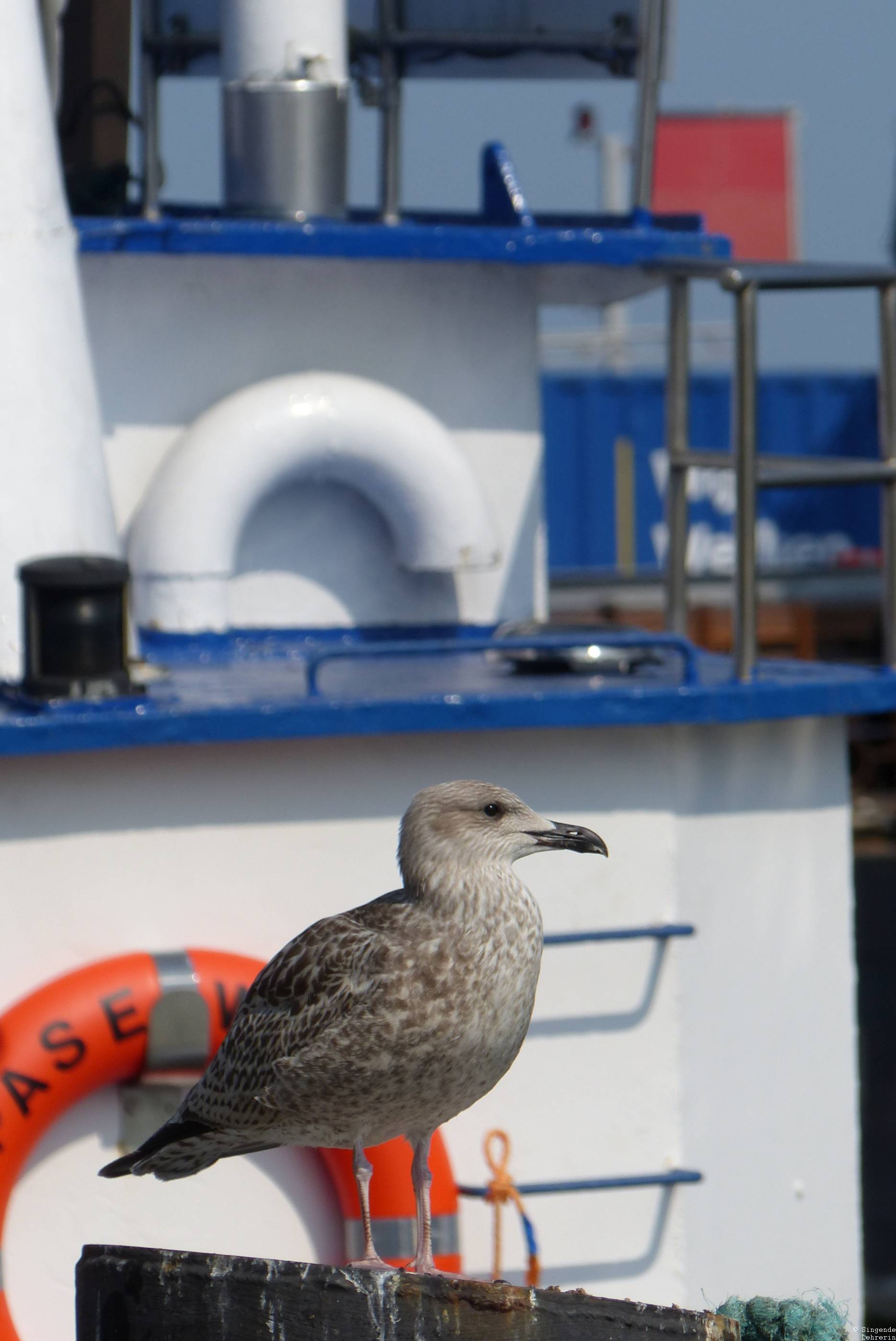 Best of Warnemünde_15