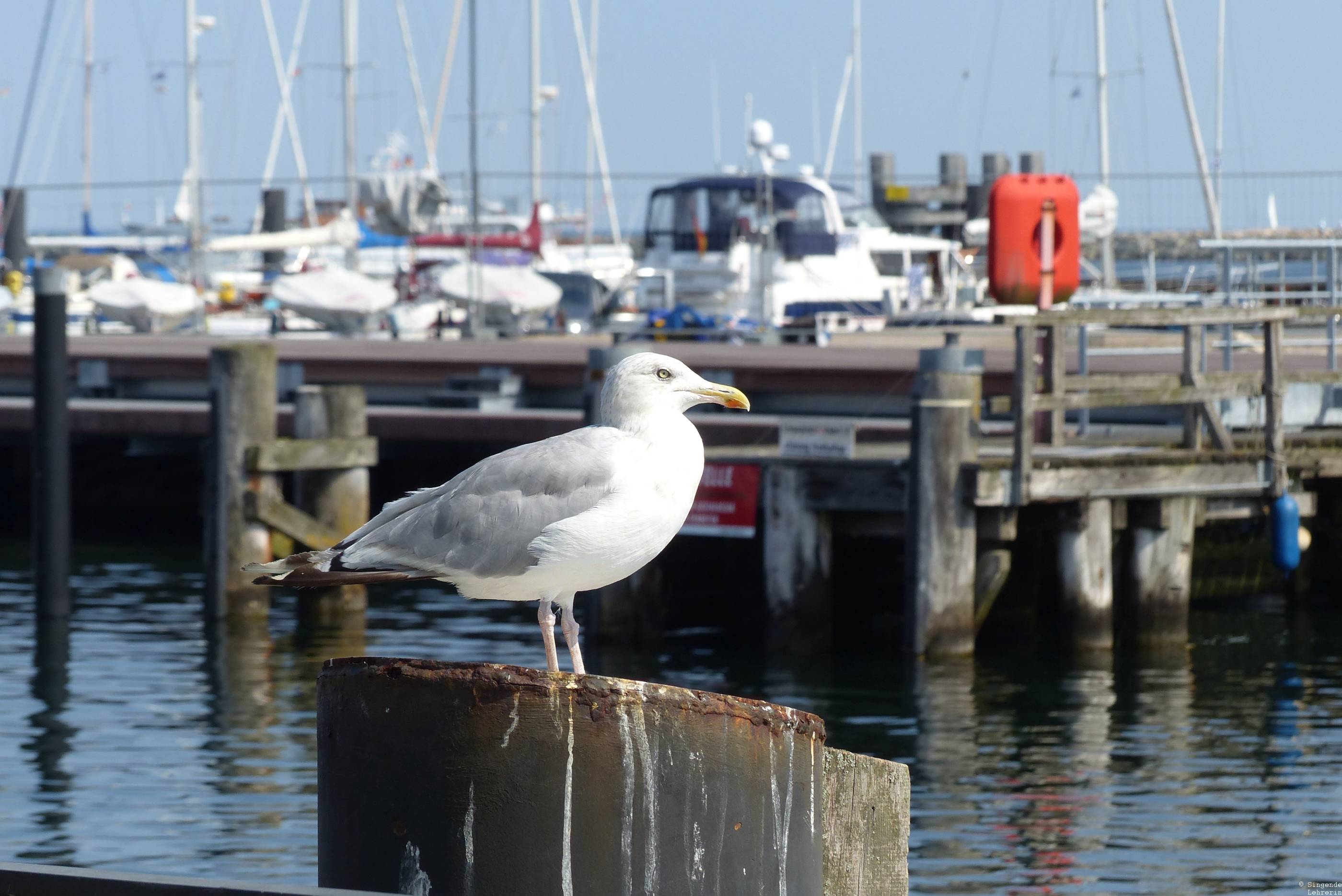 Best of Warnemünde_16